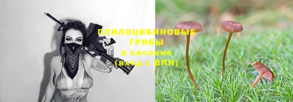 каннабис Сатка