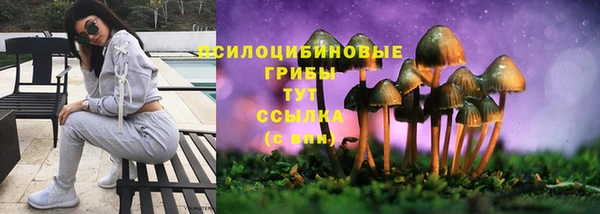 твердый Аркадак