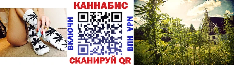 Конопля Bruce Banner  Холм 